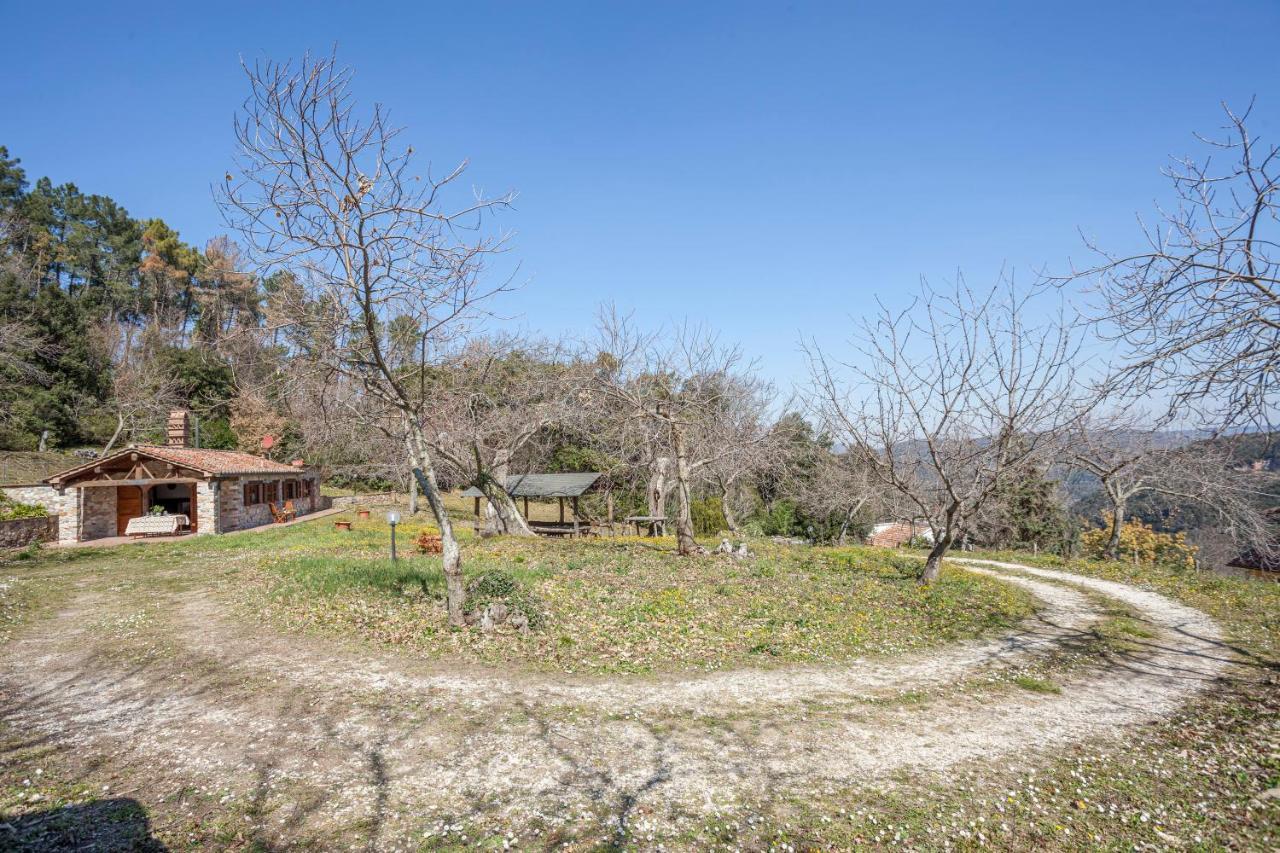Casa Nel Bosco Vila Sassetta Exterior foto