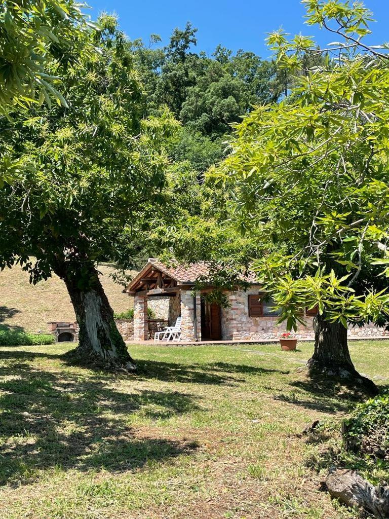 Casa Nel Bosco Vila Sassetta Exterior foto